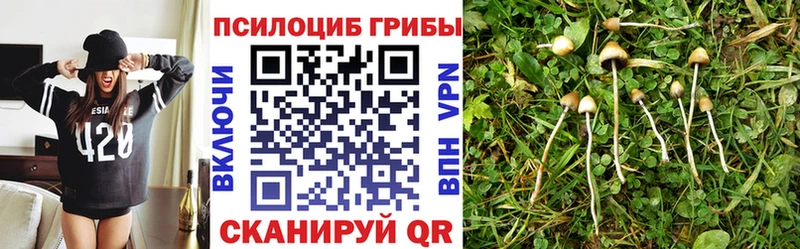 Галлюциногенные грибы мицелий  Лакинск 